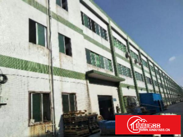 独院厂房分租1楼1800平方低价招租，带牛角