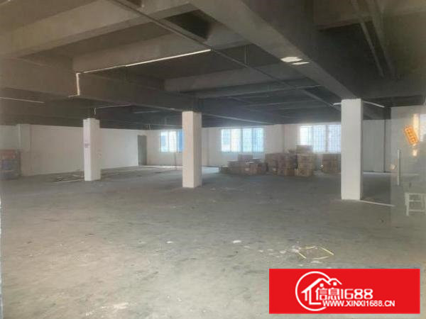 常平镇苏坑村常朗路带地坪漆超大空地