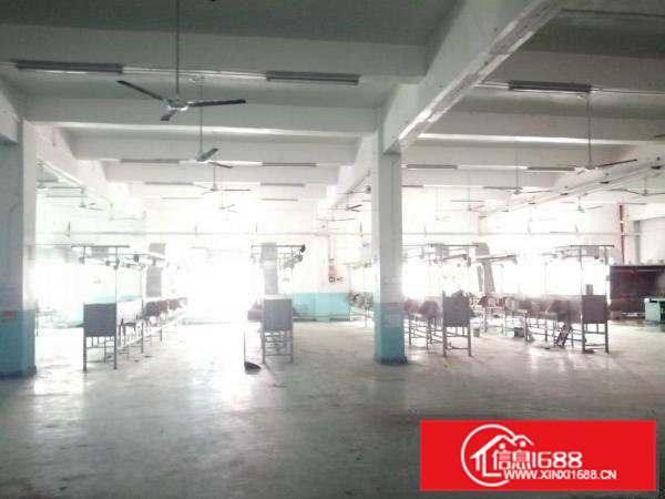 清溪高速路口新出三楼一整层3000平方出租一部三吨货梯