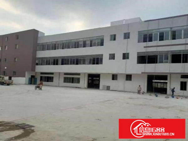 高埗镇冼沙村出租一楼1250平方，现成地坪漆办公室???