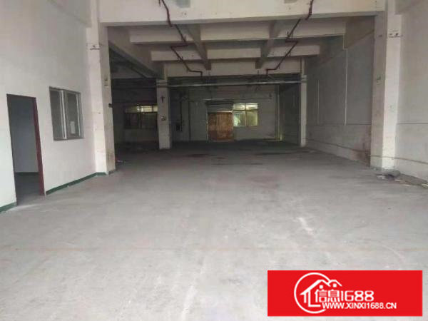 布吉吉华工业区一楼标准厂房300方厂房出租