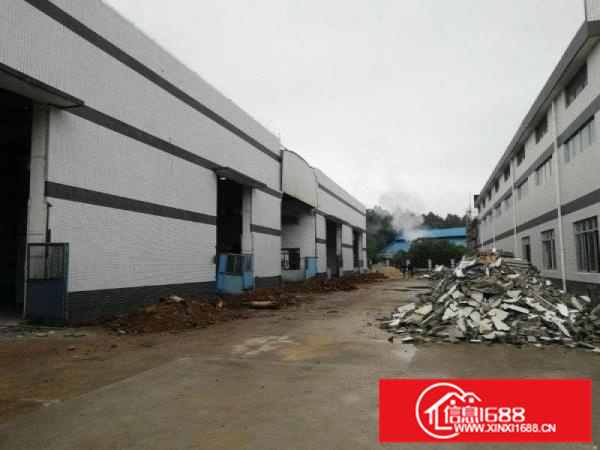 笋盘！里水1000平米单一层厂房招租！到顶12米高