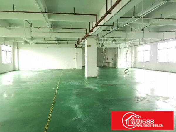 大岭山颜屋村带装修厂房1000平方