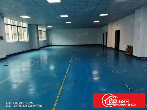 凤岗.金凤凰新出楼上1200平带现成办公室地坪漆可直接入驻