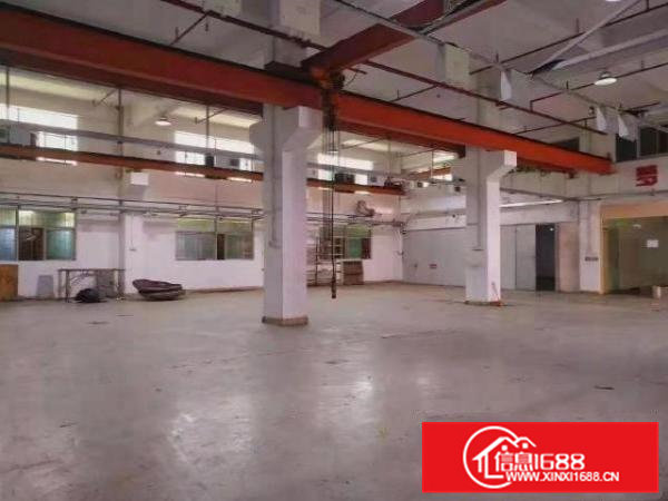 凤岗油甘埔厂房出租一楼1600平适合注塑模具五金机加工