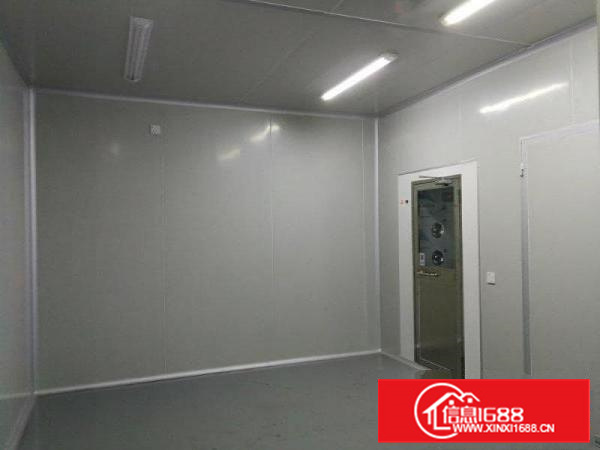 长安乌沙新出楼上九成新无尘车间450平出租