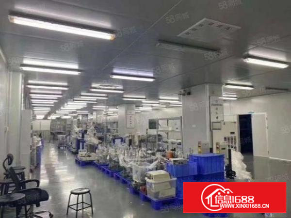 沙井西部大型园区1900平无尘车间
