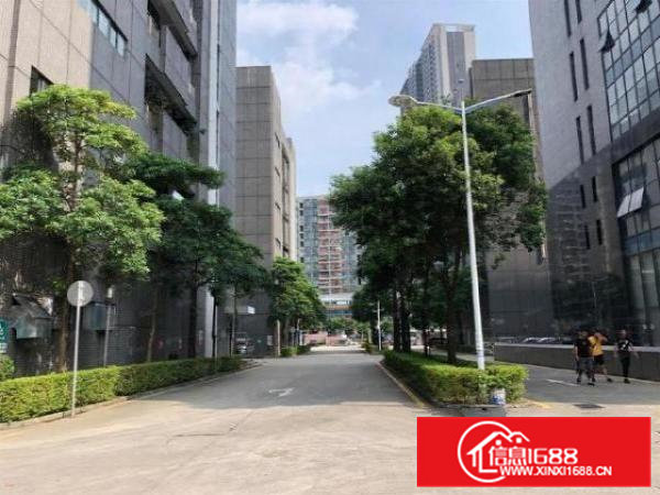 清溪重河1100平精装修水电到位厂房出租