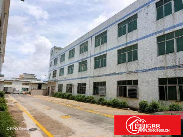 坪山石井独院二楼厂房整层1570平方出租