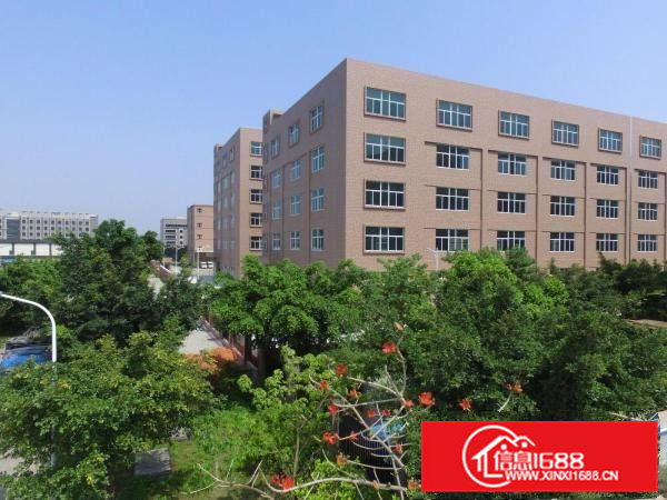 大湾区中心、政府补贴、广州南沙5500方厂房出租