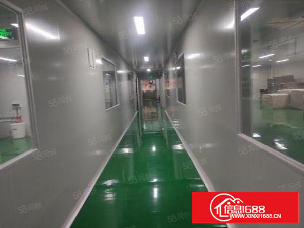 塘厦新出一楼厂房1080平带无尘车间现成装修