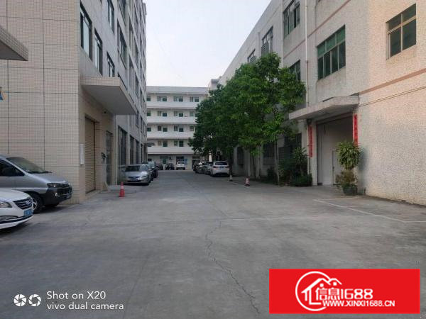 凤岗原房东厂房空出楼上1500平方带豪华装修