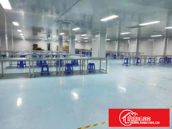 清溪大利三楼10万级标准无层车间4200平，可分租