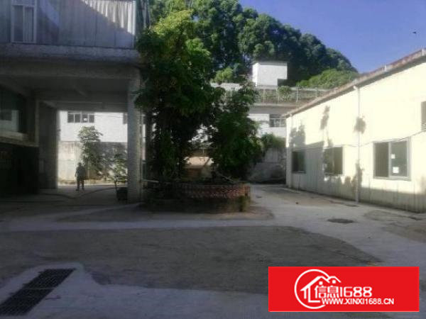 超靓独门独院厂房无公摊