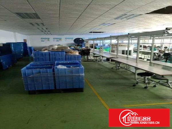 横沥镇上岭村靠近常平新出单一层房东直独栋1600航车免费使用