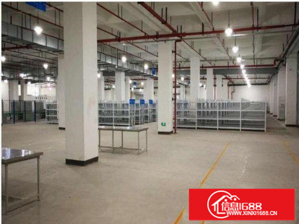 清溪现有一楼标准仓库1600平米招租