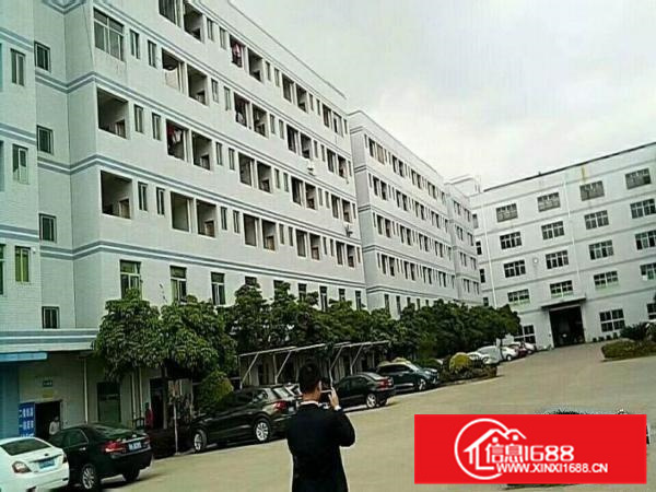 免中介惠阳爆盘秋长独立楼高厂房标准厂房出租