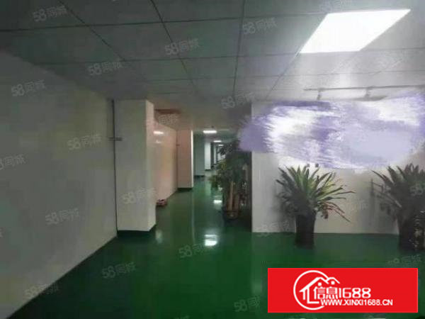 无需转让费好招工塘厦龙背岭无尘洁净车间出租1500平