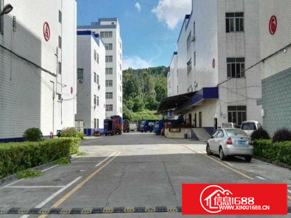 观澜天虹附近工业园红本厂房楼上1500平方带装出租