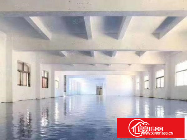 安良独门独院厂房3500平方整租20元