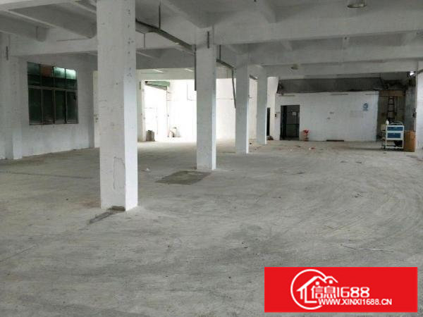 (一楼)龙岗龙东1200平方厂房出租！！！