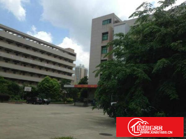 龙岗业主直租独院厂房6000平米可分租