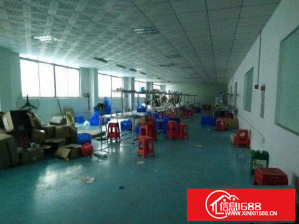 出租龙岗区南约一楼厂房1450平方，宿舍6间