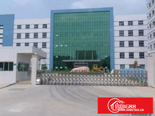 金凤凰一楼刚空出1200平方厂房出租