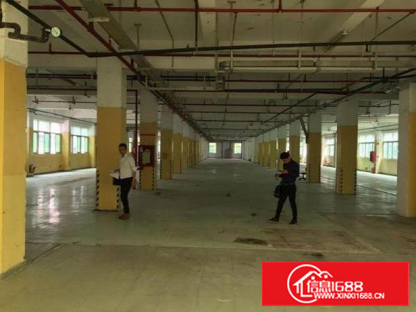 塘厦独门独院楼上2800平厂房出租，原房东无公摊