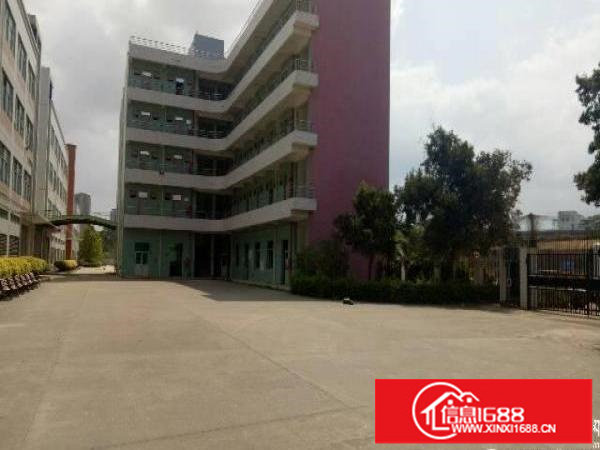 坪山新区红本独院厂房6万平方招租，可分租