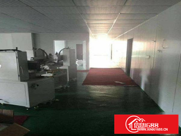 横沥水边新出1000平方带无尘车间厂房出租