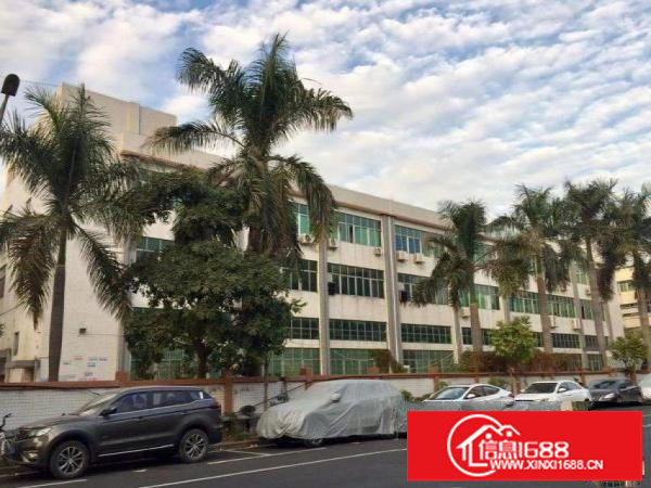 横岗沙荷路实际面积厂房出租一楼1500平米高度6米带行车