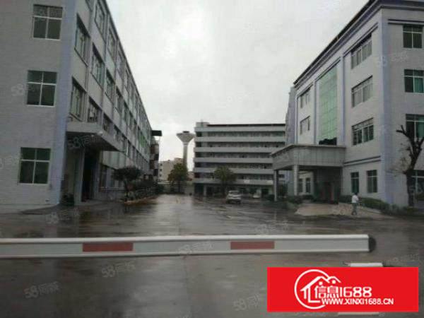 寮步有国双证准标独院面总积34700方可整租可分租