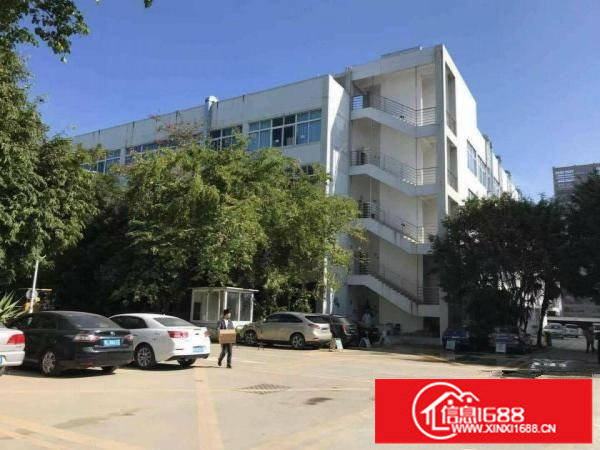 龙岗宝龙原房东高新园区红本5000平厂房出租可分租