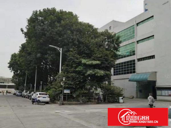 长安新安大桥附近新出楼上标准厂房8000平