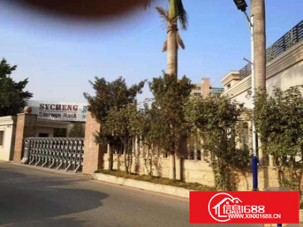 出租光明区洪湖村：钢结构厂房7米高，3000平米(一手房东)