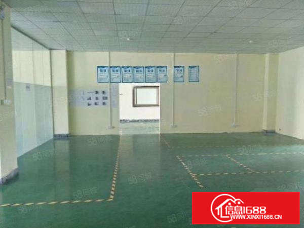 常平新出原房东整层420平厂房出租标准2吨货梯水电齐全精装修