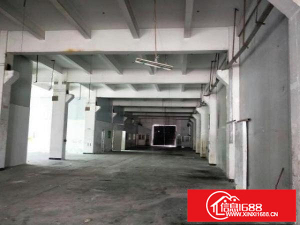 新出厂房1楼1300平，滴水6米，可分租