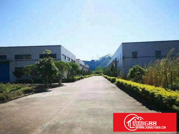 原房东1500平米单层钢构厂房出租可分租