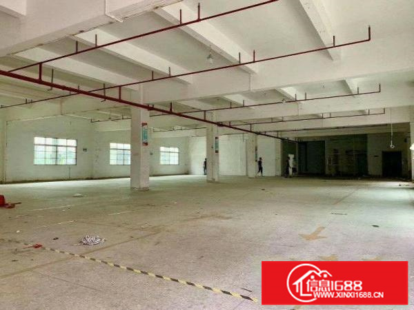 园州镇独门独院标准厂房12000平，空地大