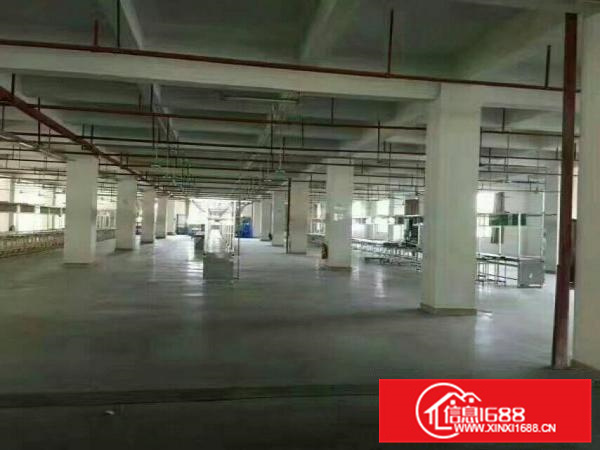 镇隆高速出口边原房东红本厂房12000平米出租