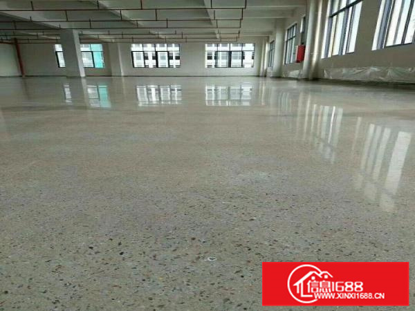 镇隆高速路口边,全新红本厂房出租