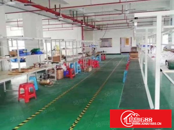 凤岗镇官井头村全新空出村委经典小独院2000平厂房出租