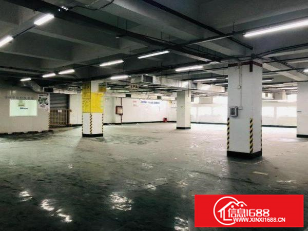 里水五群工业区2000方12元3吨电梯可分租办环评