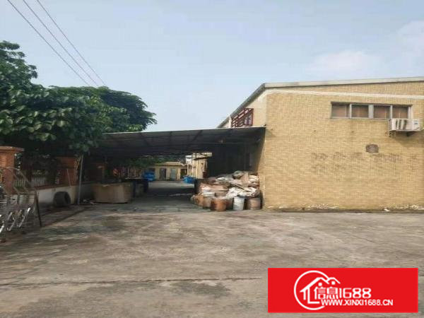 企石新出独院1550平方独院钢构厂房滴水7米,空地大,工业区