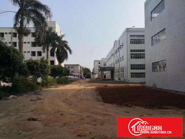 凤岗新出精美独门独院.大小可任意分租