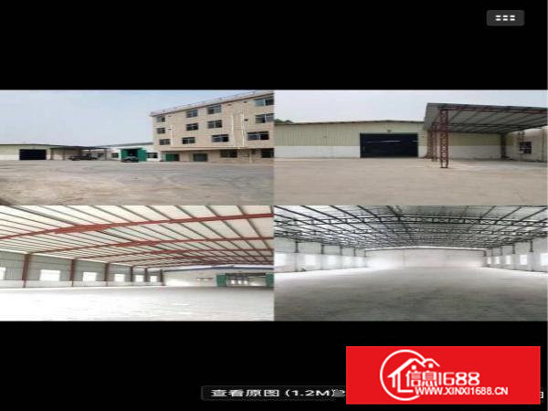 常平桥沥滴水9米厂房出租