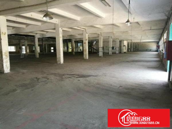 观澜环观南路高新技术产业园大型独院厂房出租