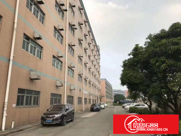 丹竹头工业区一楼300平500平厂房招租