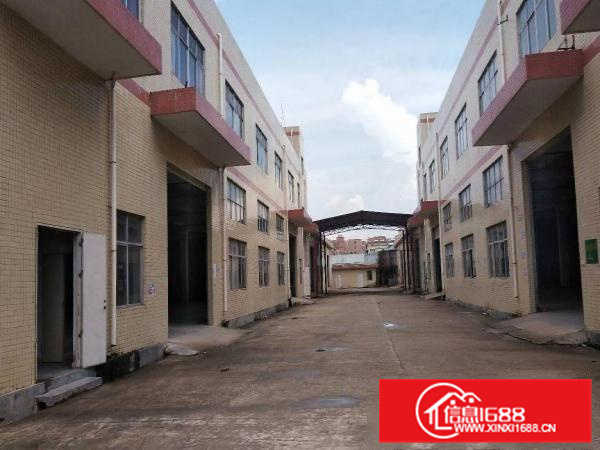 惠阳秋长新塘标准厂房招5000平米一楼高5米可分租